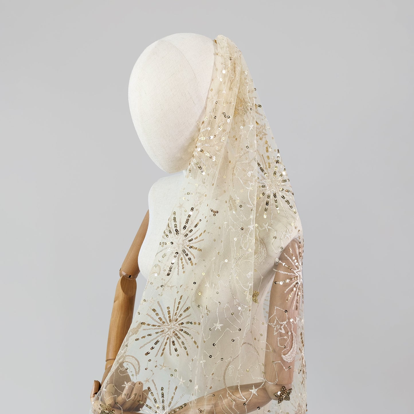 Champagne and Gold Celestial Veil