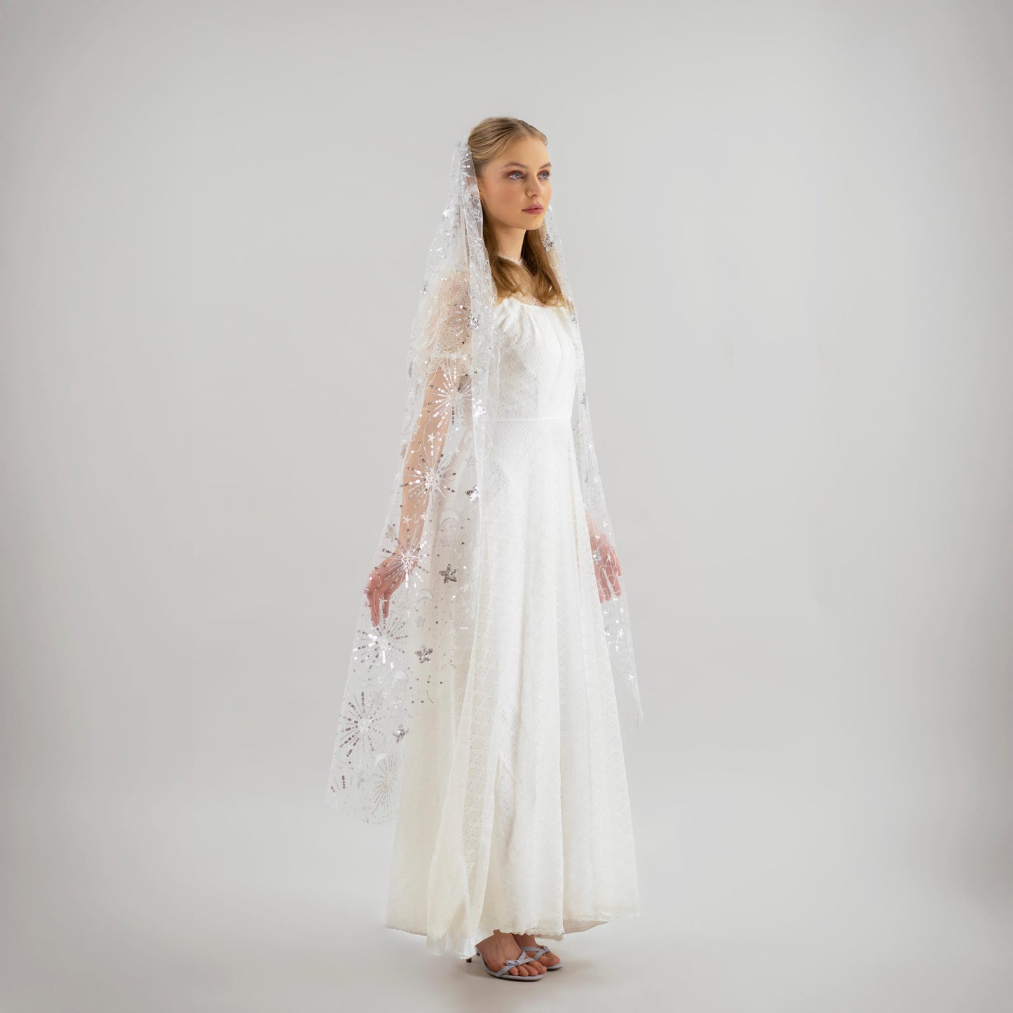 Ivory and Silver Celestial Veil