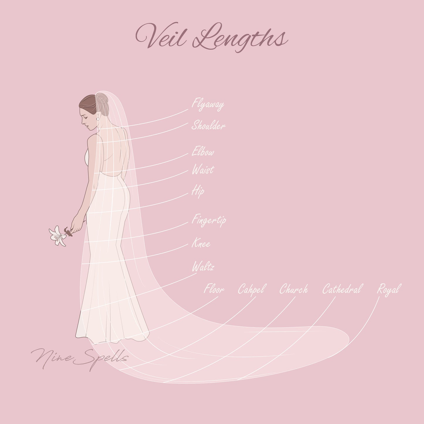 Illustration of a bride with various veil lengths labeled on a pink background