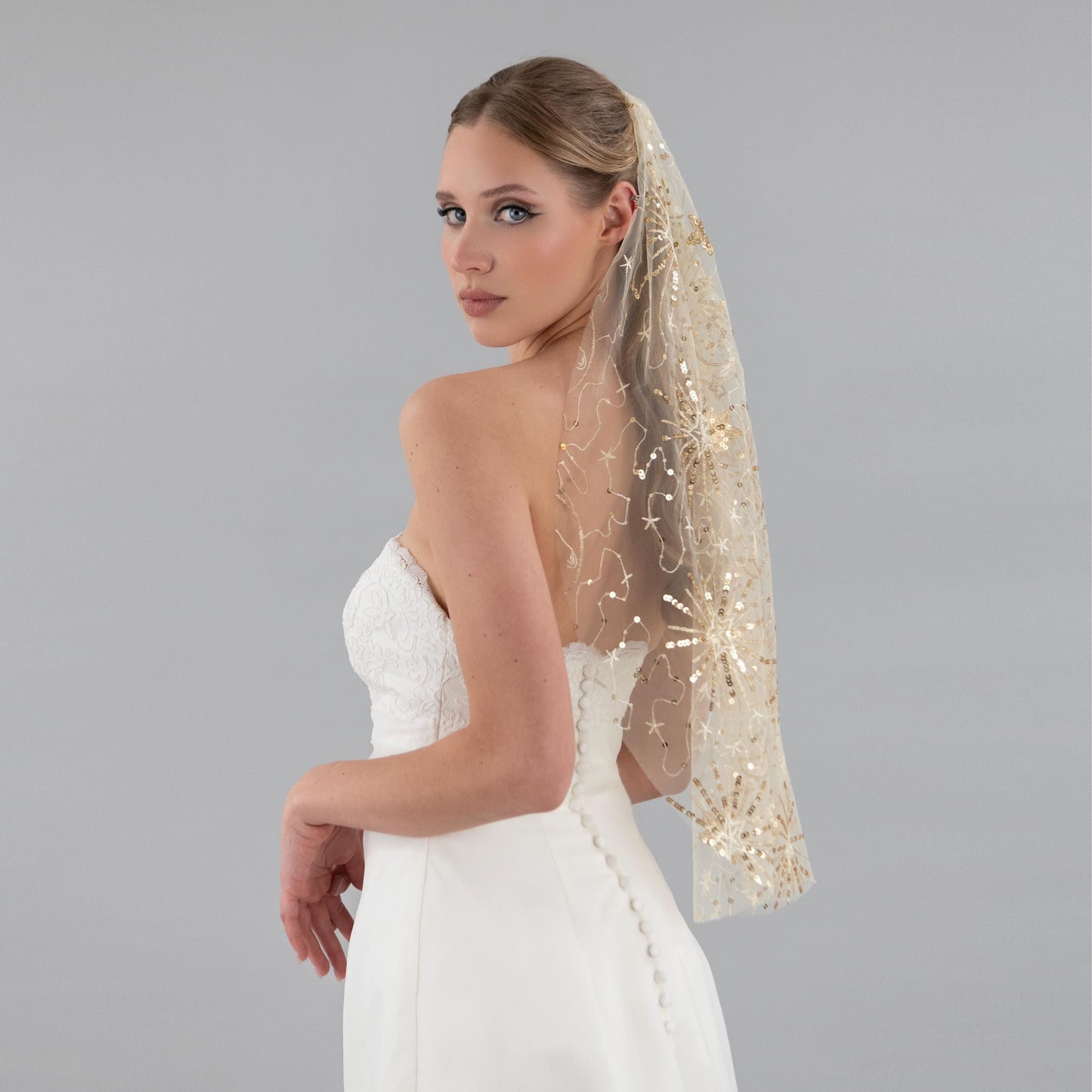 Champagne and Gold Celestial Veil