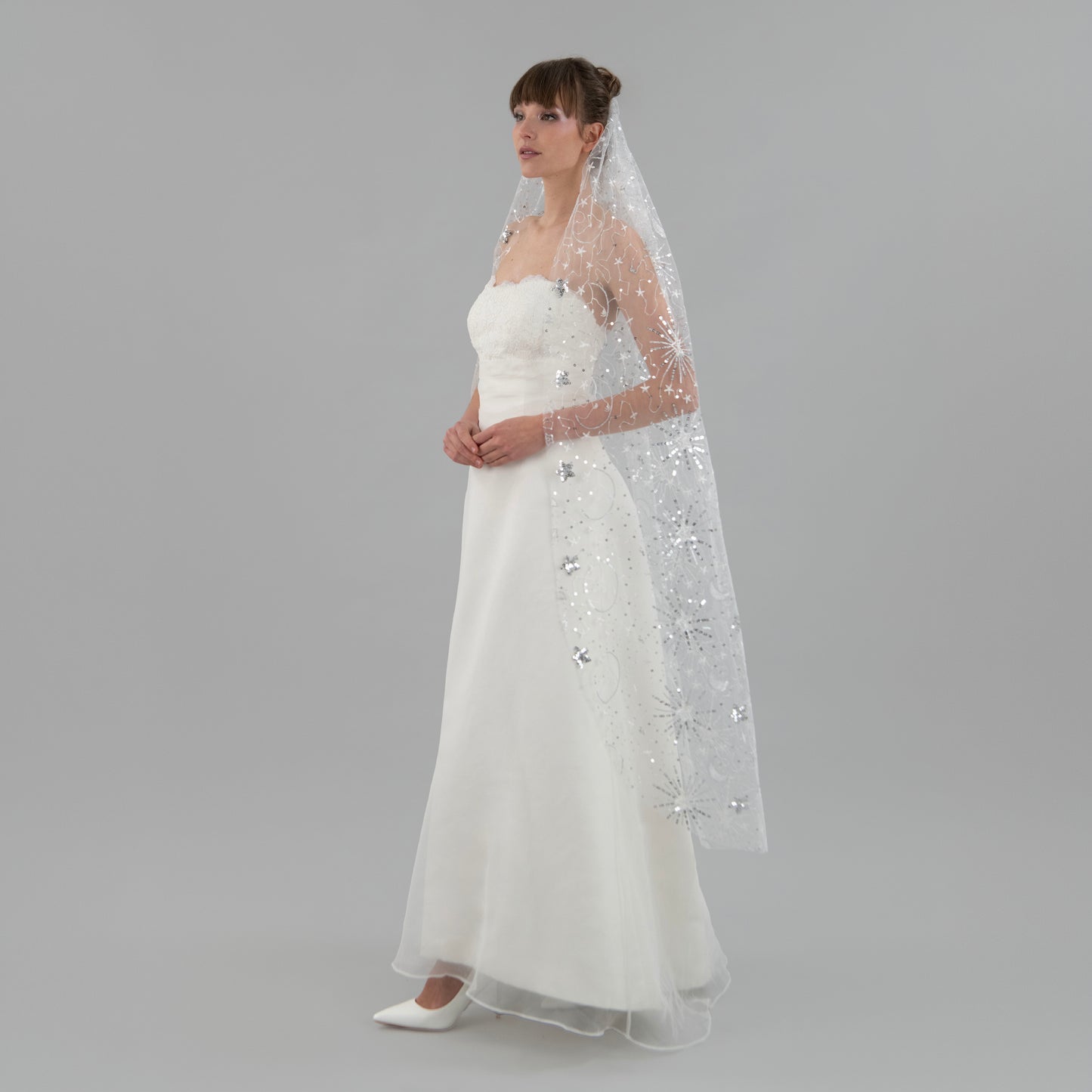 Ivory and Silver Celestial Veil
