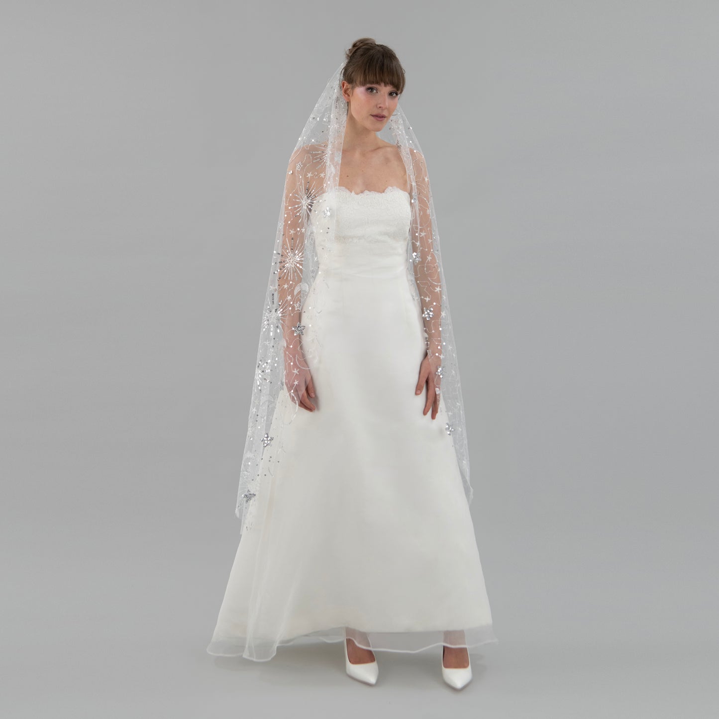 Ivory and Silver Celestial Veil