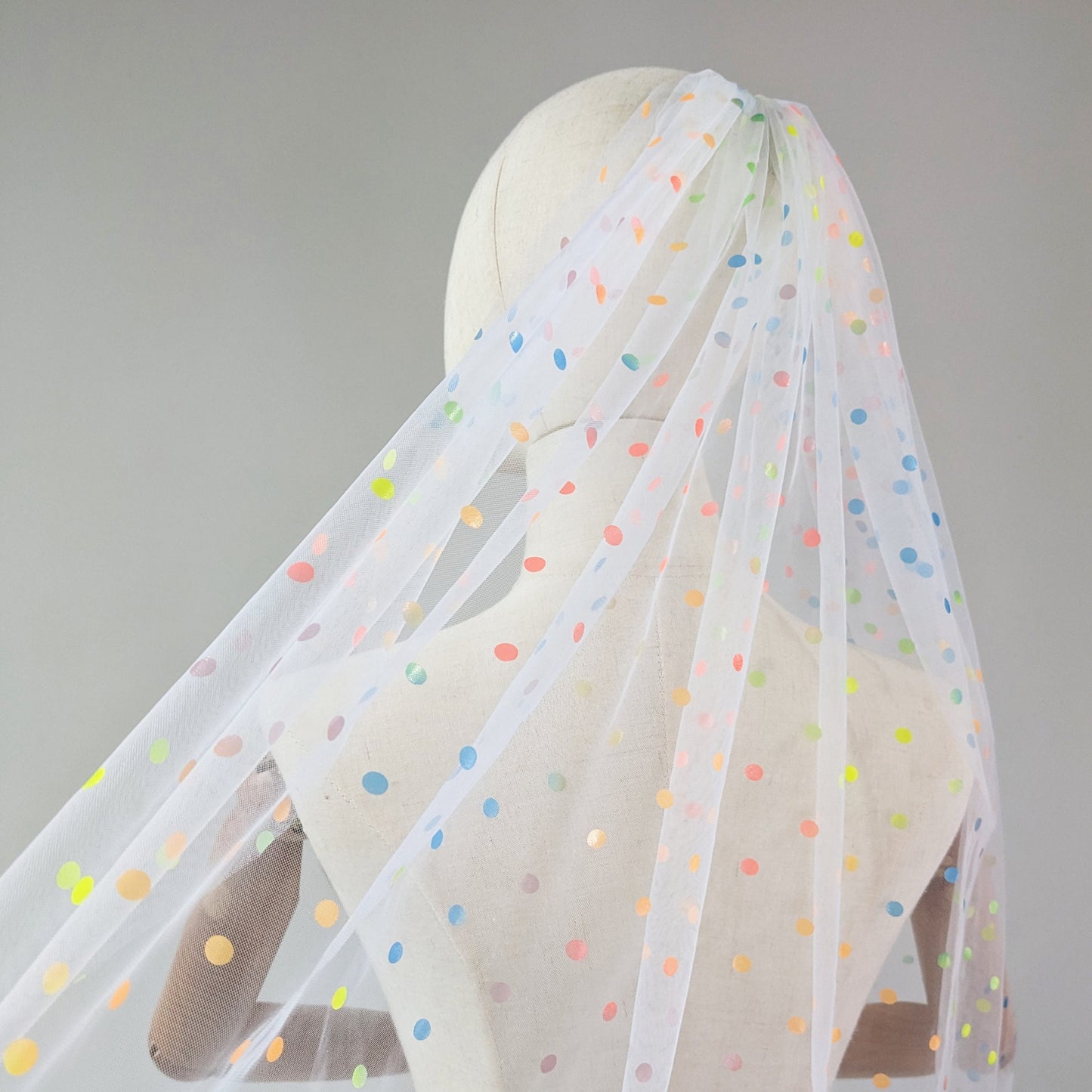 Ivory Rainbow Polka Dot Veil